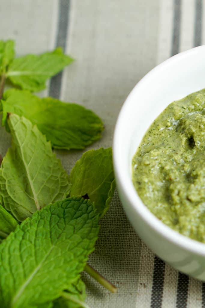 Quick 5 minute Mint Chutney recipe using only 5 ingredients. Healthy, gluten free, dairy free, and a great way to use leftover herbs.