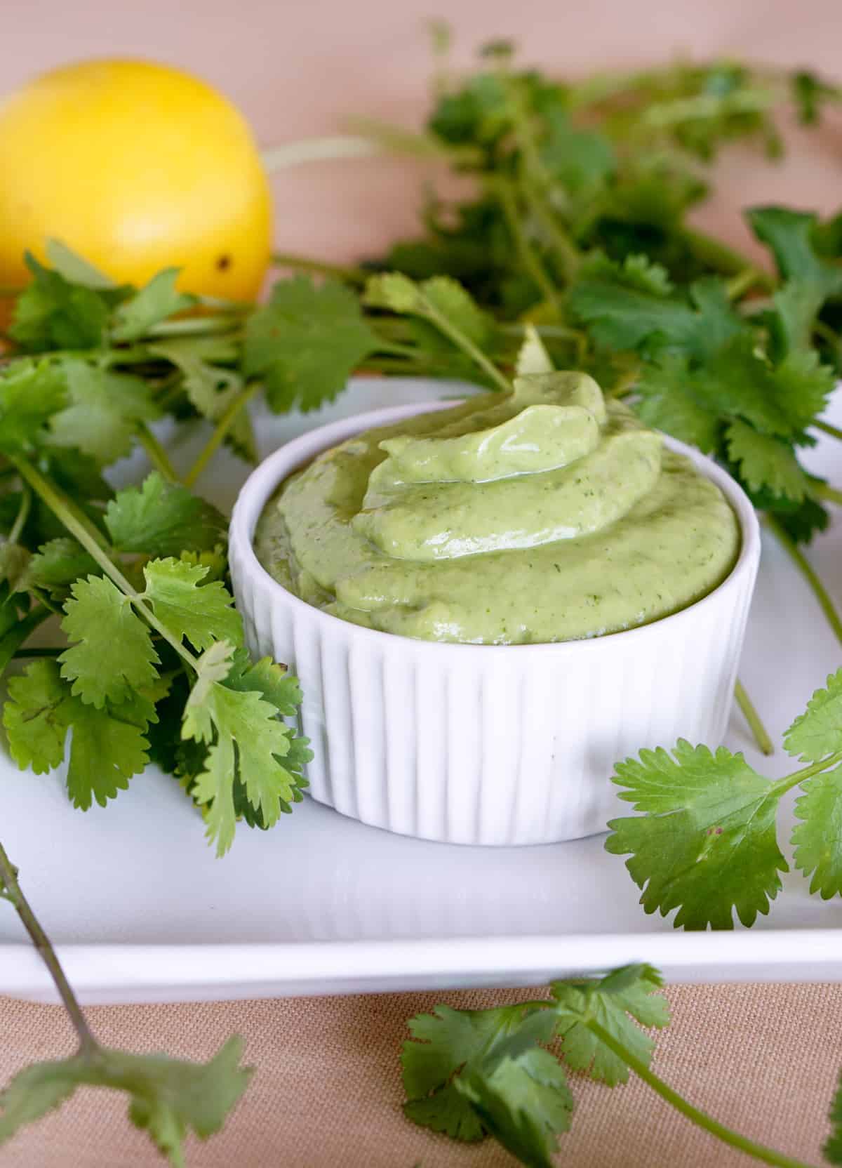 Simple 5 ingredient Creamy Avocado Cilantro Sauce Recipe makes a great Paleo or Whole 30 salad dressing or side sauce that's gluten free and dairy free.