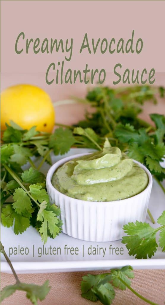 Simple 5 ingredient Creamy Avocado Cilantro Sauce Recipe makes a great Paleo or Whole 30 salad dressing or side sauce that's gluten free and dairy free.