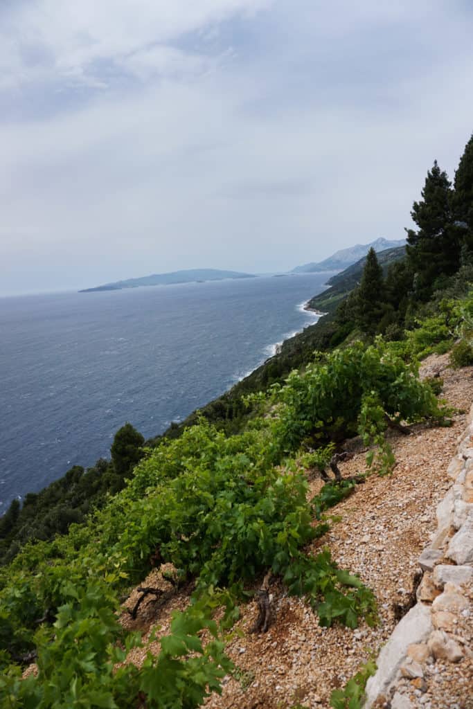 A traditional Croatian cooking class with Peka and a wine tour of dalmatian wineries on the Peljesac Peninsula. A perfect Dubrovnik day trip in Croatia