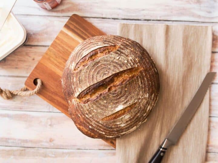 Is sourdough bread gluten free? And is sourdough bread better for me? Find out what transitions to modern wheat and industrial farming mean to our health.