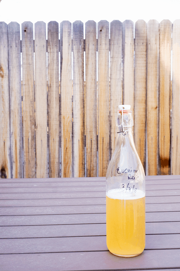 Home brewed Jun, a honey and green tea version of kombucha, bottled on outdoor table