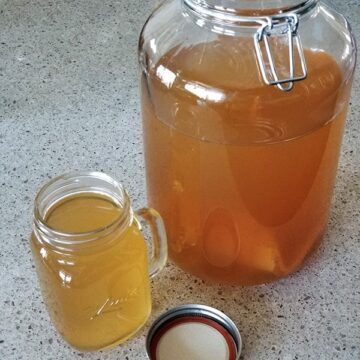 Home brewed Jun, a honey and green tea version of kombucha, brew and glass