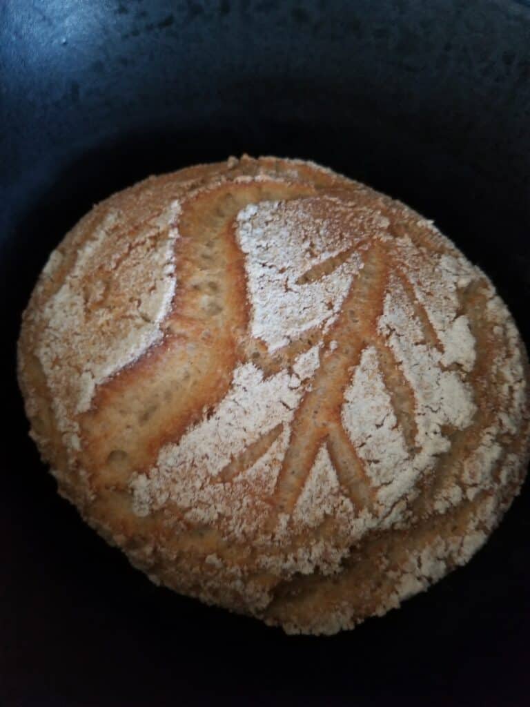 Scored bread after baking