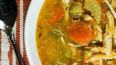 chicken vegetable soup