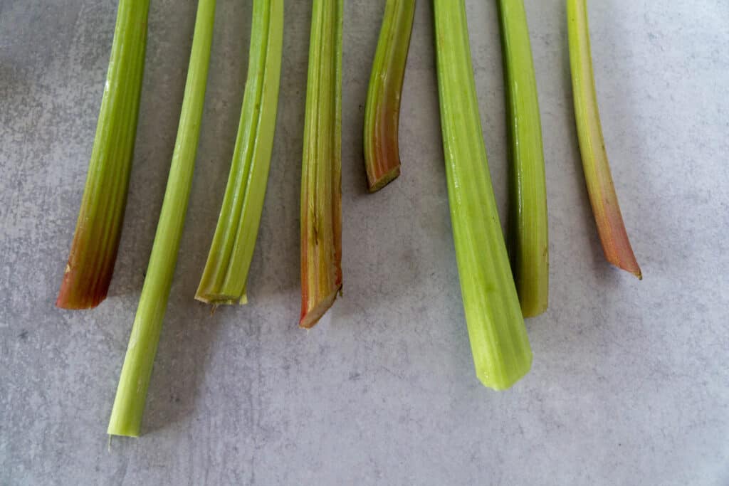Green and red rhubarb ribs