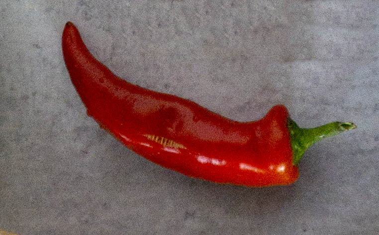 Red Fresno Pepper